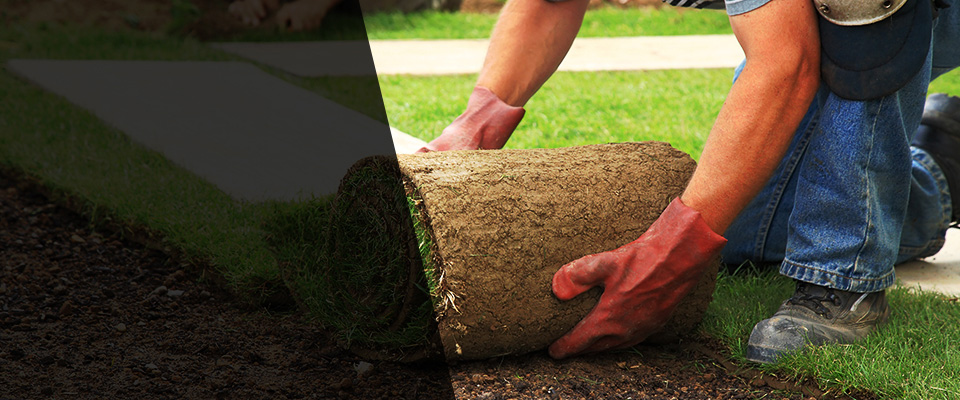 Coupeville Landscapers